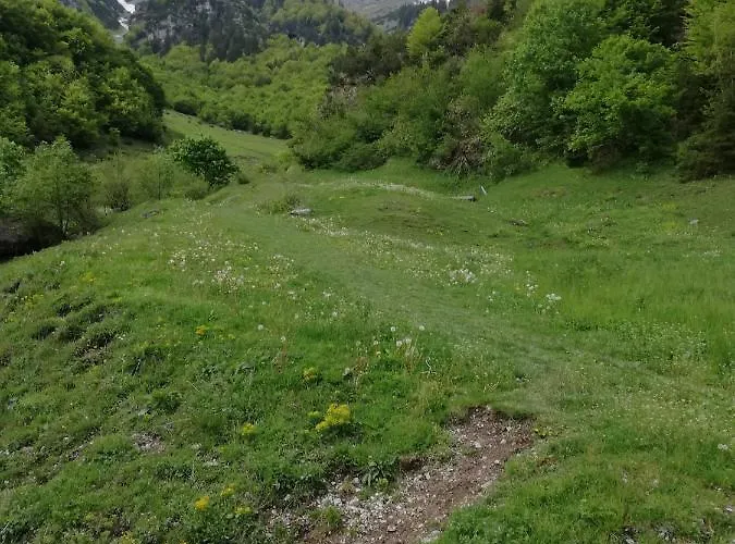 Haus Georg * Innsbruck