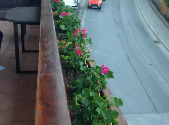 Haus Georg Kwatera prywatna *